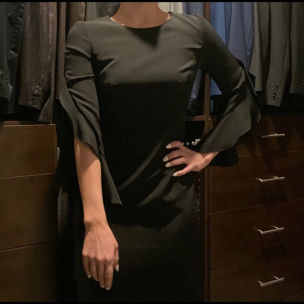 Milly ruffle sleeve dress